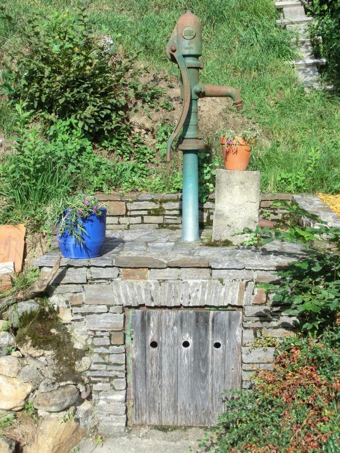 Die Steirakeischn Großklein Dış mekan fotoğraf